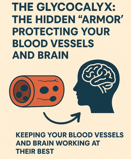 The Glycocalyx: The Hidden “Armor” Protecting Your Blood Vessels and Braim