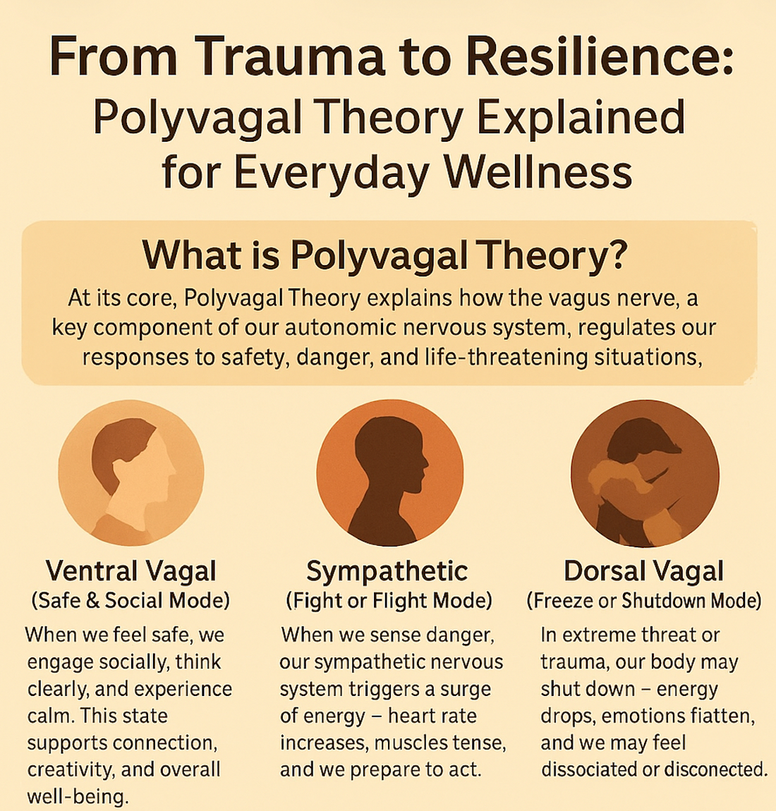 From Trauma to Resilience: Polyvagal Theory Explained for Everyday Wellness